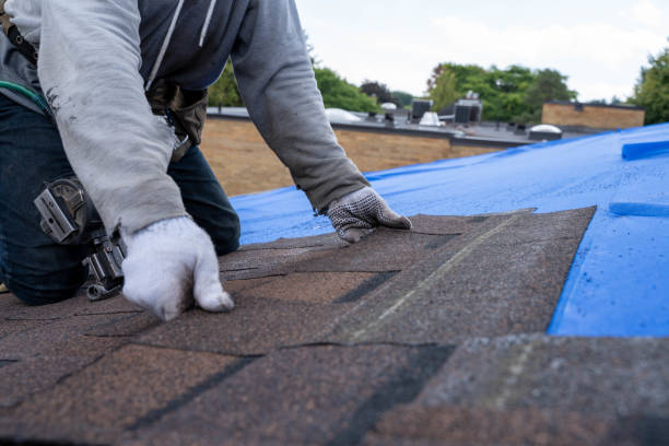 Fast & Reliable Emergency Roof Repairs in Wilson, PA